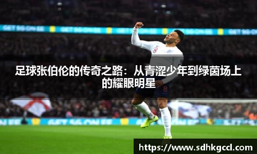 足球张伯伦的传奇之路：从青涩少年到绿茵场上的耀眼明星